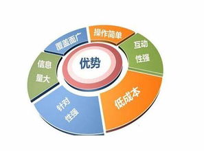 张掖服务好企业建站精华 新闻动态