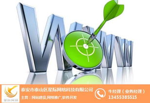 企业品牌建站 企业品牌建站需要注意什么 星际网络 优质商家