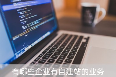有哪些企业有自建站的业务(自建站工作好做吗)